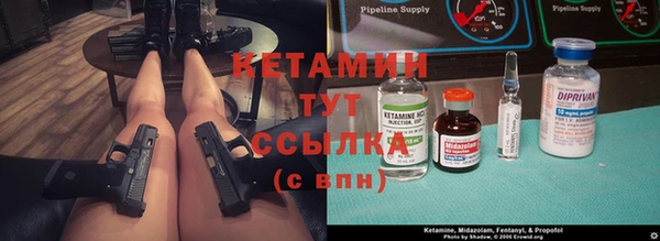 спиды Ельня