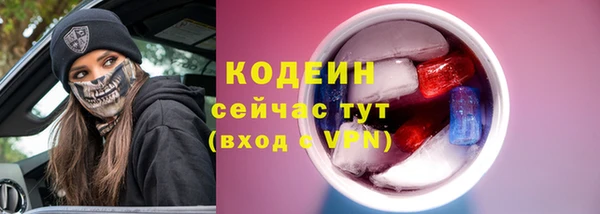 спиды Ельня