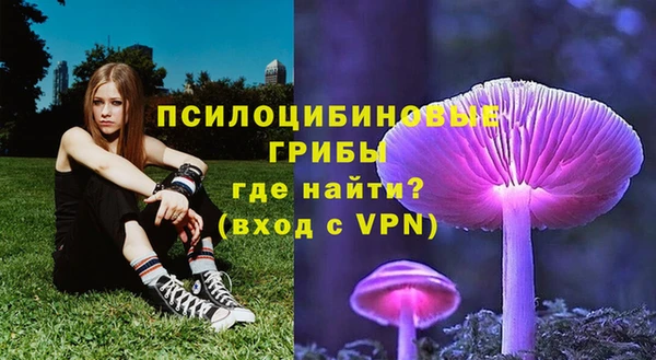 трава Елизово