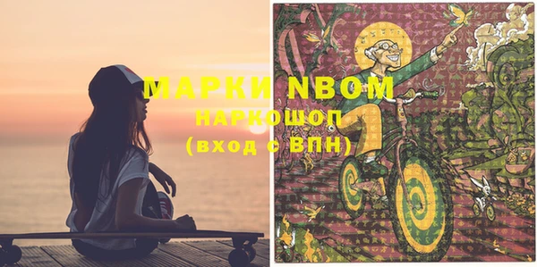 спиды Ельня