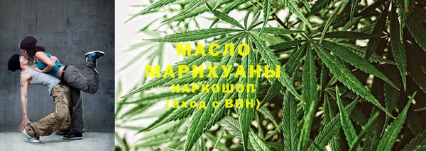 спиды Ельня