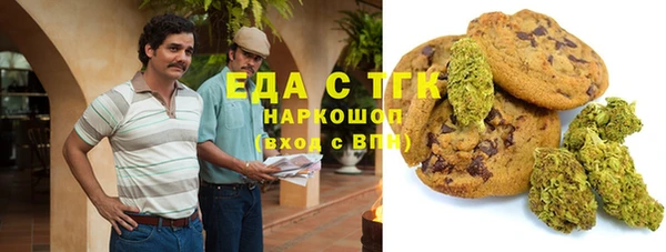 спиды Ельня