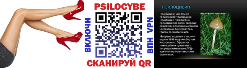Галлюциногенные грибы Psilocybe  где можно купить наркотик  Воронеж 