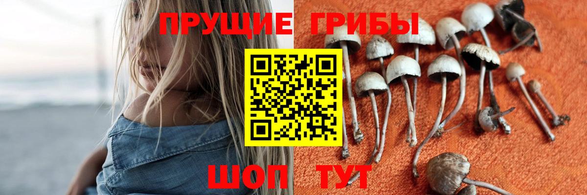 Галлюциногенные грибы Cubensis  Вход с VPN  где можно купить наркотик  Псилоцибиновые грибы MAGIC MUSHROOMS  Россия 