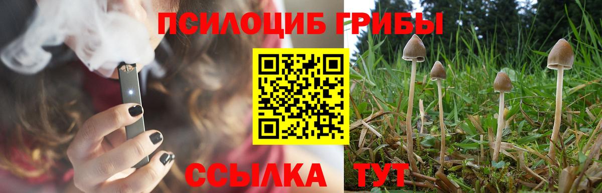 Псилоцибиновые грибы GOLDEN TEACHER Россия