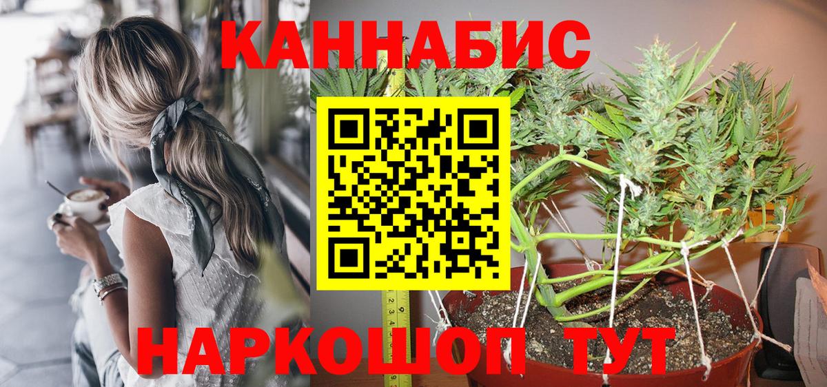 Канабис Ganja  Вход с VPN  Канабис SATIVA & INDICA  Россия 